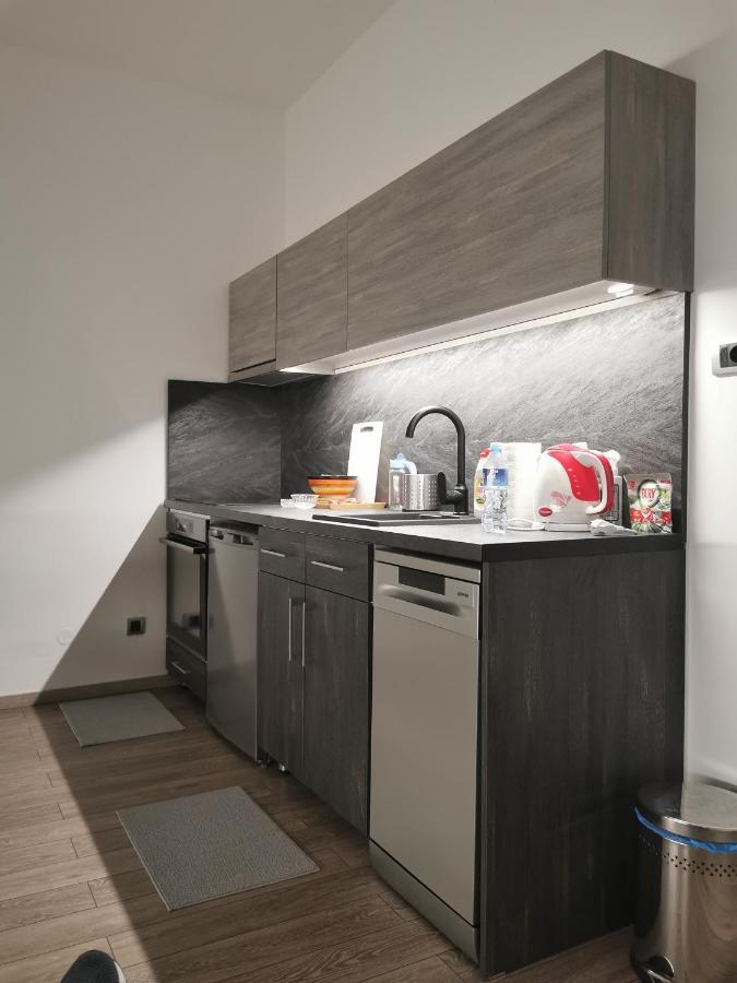 Apartman Pavlovic 1 Dedinje Exterior photo